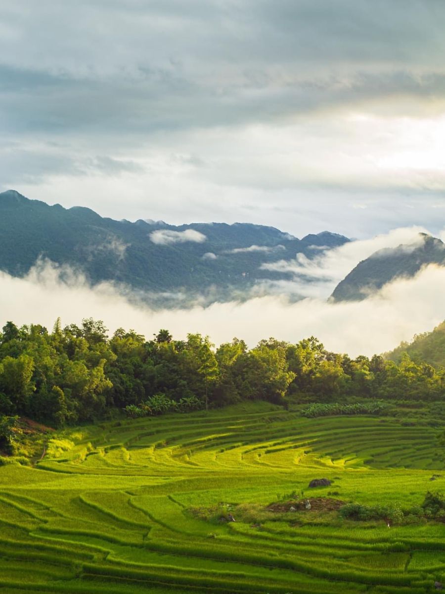 Pù Luông - A New Destination For Travelers