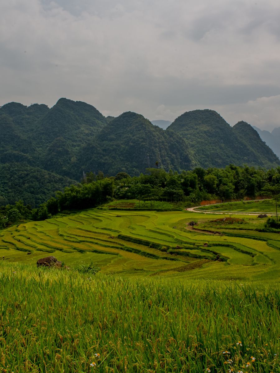 Essential Items for Your Trekking Adventure