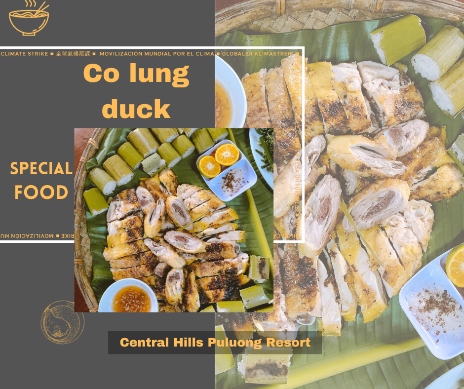 Co Lung Duck  - Delicious food in Pu Luong